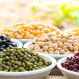 Beans & Legumes Beans & Legumes