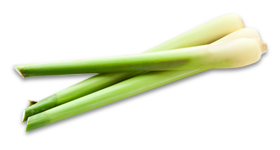 Lemongrass