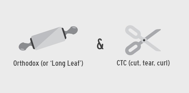 Alt Image Text
