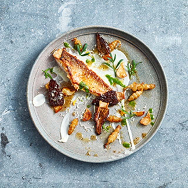 8 Modern Food Plating Trends & Presentation Styles